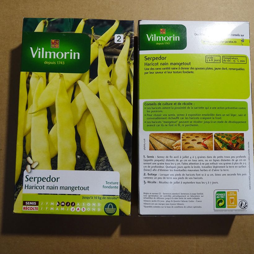 Esempio di esemplare Fagiolo giallo nano Serpedor - Vilmorin sacchetto di semi 400 (200g) come consegnato