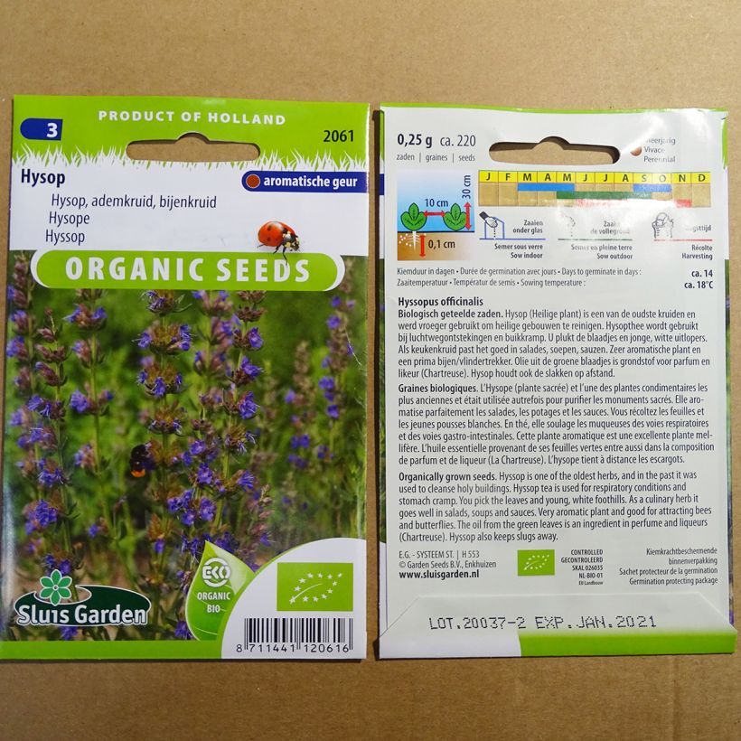 Esempio di esemplare Hyssopus officinalis Bio - Issopo sacchetto di semi 220 (0.25g) come consegnato