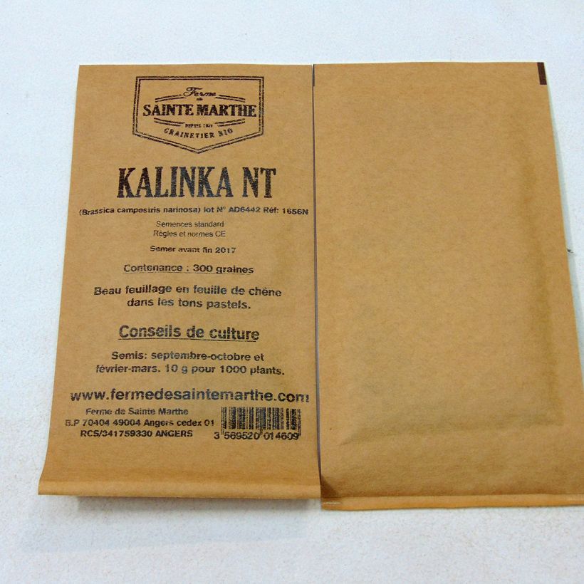 Esempio di esemplare Cavolo cinese Kalinka sacchetto di semi 300 (1g) come consegnato