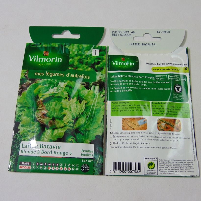 Esempio di esemplare Lattuga batavia Bionda a bordo rosso 5 sacchetto di semi 3200 (4g) come consegnato