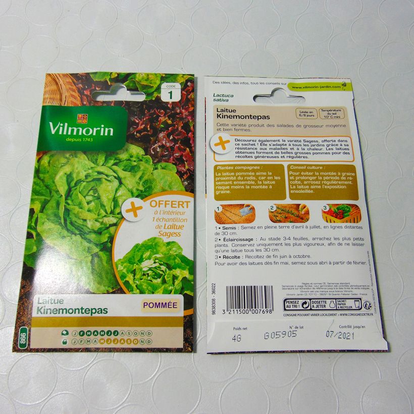 Esempio di esemplare Lattuga batavia Kinemontepas - Vilmorin sacchetto di semi 3200 (4g) come consegnato