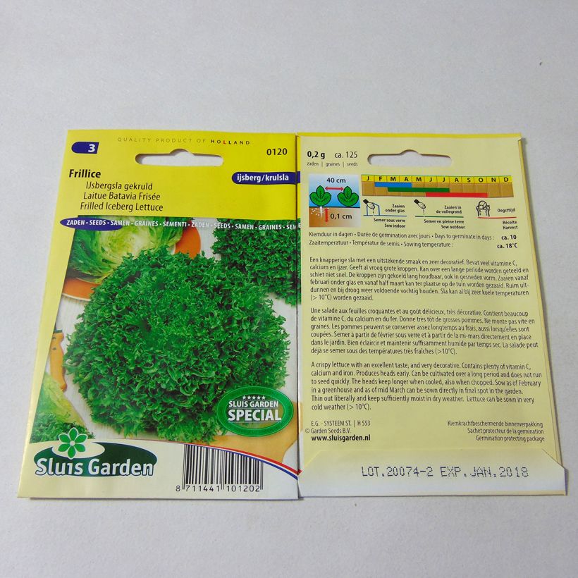 Esempio di esemplare Lattuga batavia frisée Frillice sacchetto di semi 125 come consegnato
