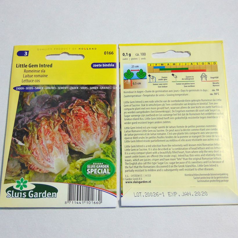 Esempio di esemplare Lattuga romana Little Gem Intred sacchetto di semi 100 come consegnato