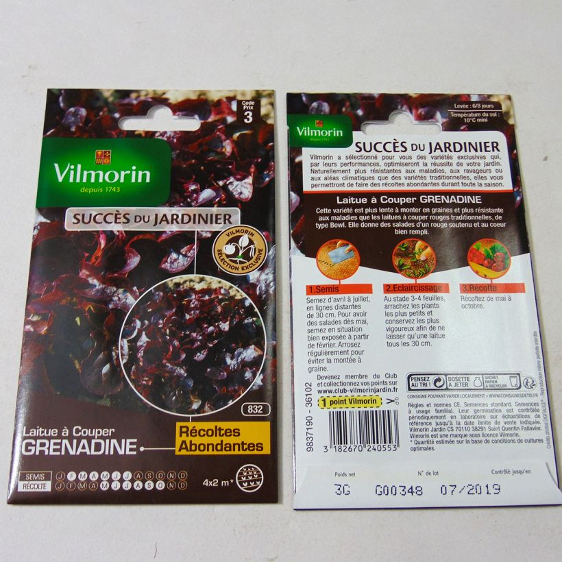 Esempio di esemplare Lattuga a cappuccio Grenadine sacchetto di semi 3000 (3g) come consegnato