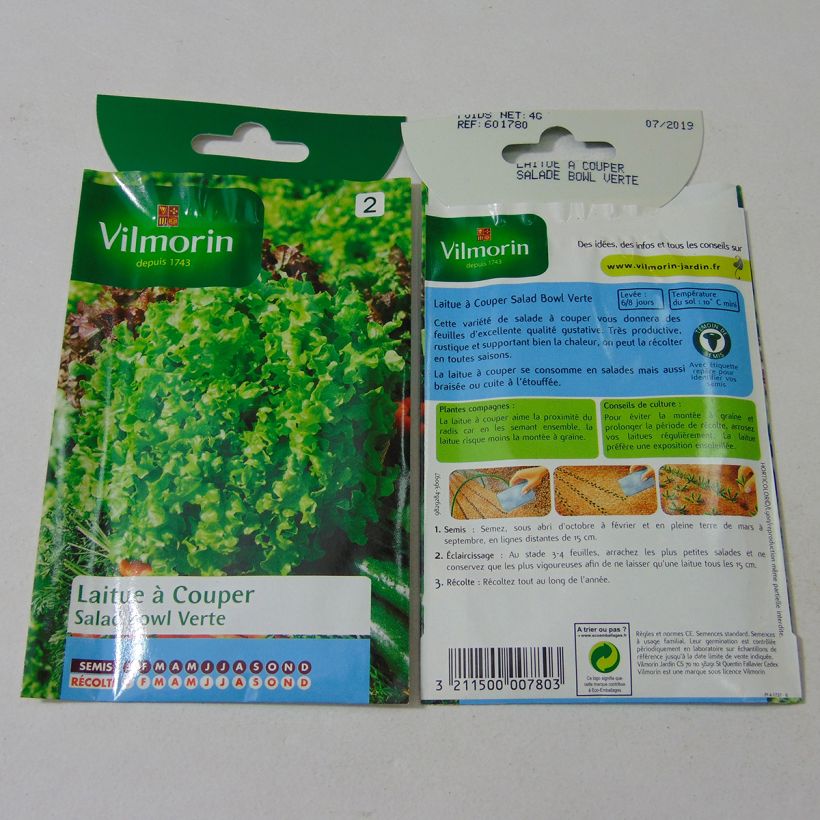 Esempio di esemplare Lattuga a cespo Salad Bowl Verde - Vilmorin sacchetto di semi 3200 (4g) come consegnato