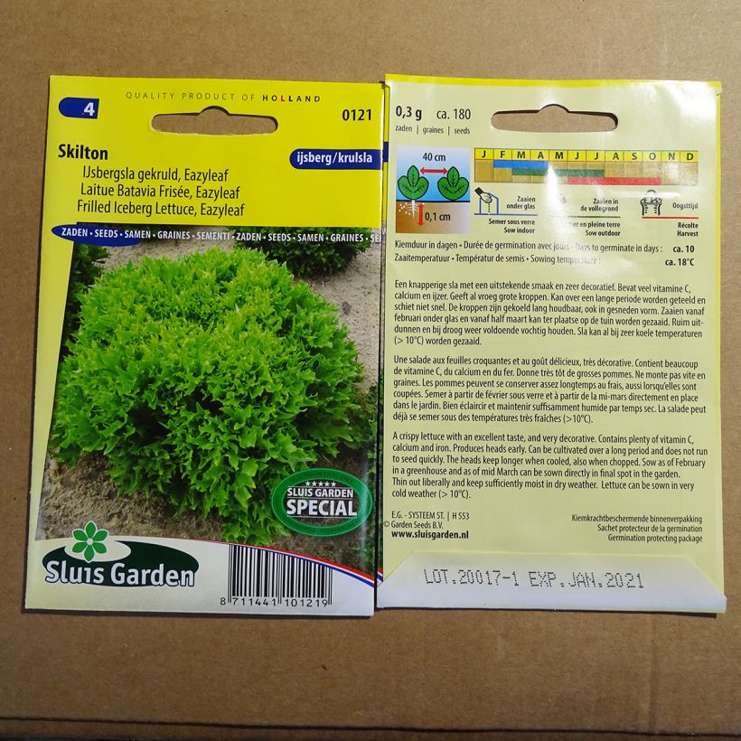 Esempio di esemplare Lattuga batavia Eazyleaf Skilton sacchetto di semi 180 (0.3g) come consegnato
