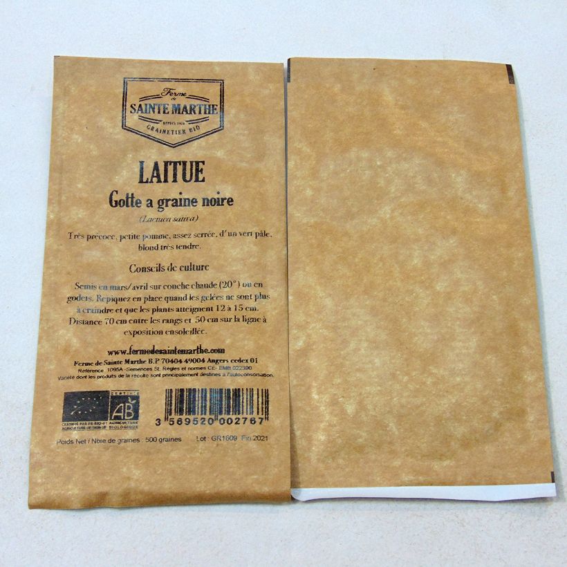 Esempio di esemplare Lattuga a cappuccio Gotte à Graine Noire sacchetto di semi 500 come consegnato