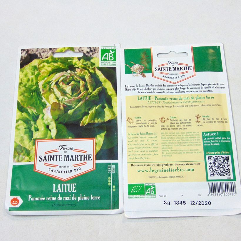 Esempio di esemplare Lattuga a cappuccio Reine de Mai Bio - Ferme de Sainte Marthe sacchetto di semi 2500 (3g) come consegnato