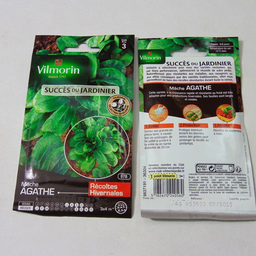 Esempio di esemplare Soncino Agathe sacchetto di semi 2600 (4g) come consegnato