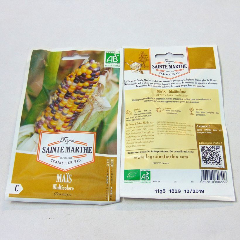 Esempio di esemplare Mais Tom Pouce sacchetto di semi 50 (11g) come consegnato