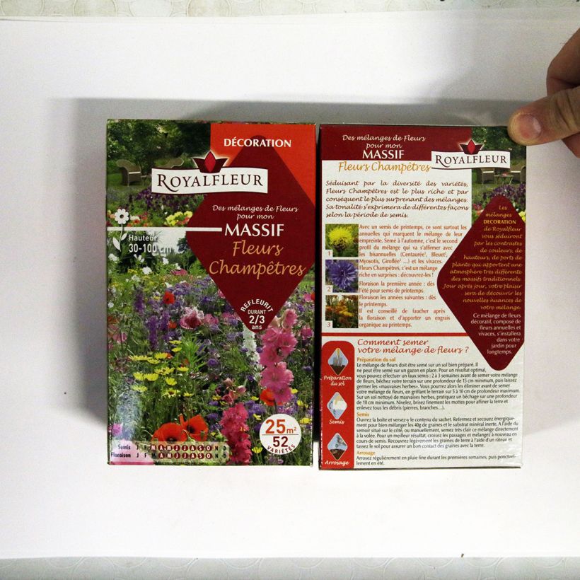Esempio di esemplare Mischia per aiuola Fiori di Campagna - Scatola 25 m2 sacchetto di semi da 40 grammi come consegnato