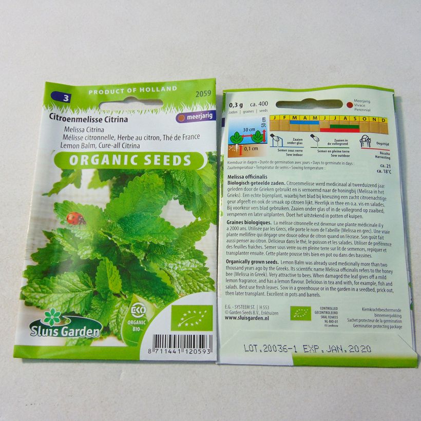 Esempio di esemplare Melissa officinalis Bio (semi) - Melissa vera sacchetto di semi 1000 (0,6g) come consegnato