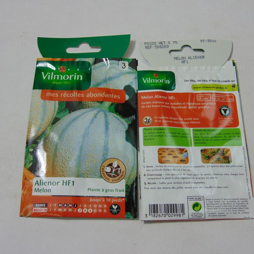 Esempio di esemplare Melone Alienor sacchetto di semi 21 (0.7g) come consegnato