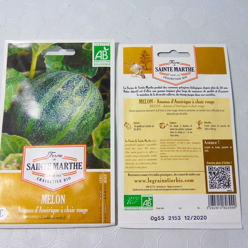 Esempio di esemplare Melone Ananas di Americo sacchetto di semi 15 come consegnato