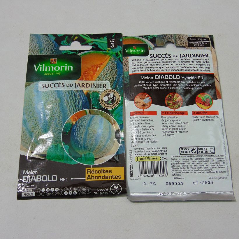 Esempio di esemplare Melone Diabolo F1 - Vilmorin sacchetto di semi 21 (0.7g) come consegnato