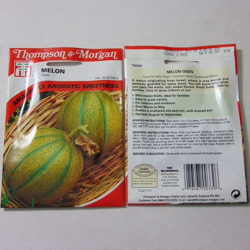 Esempio di esemplare Melone Ogen sacchetto di semi 15 come consegnato