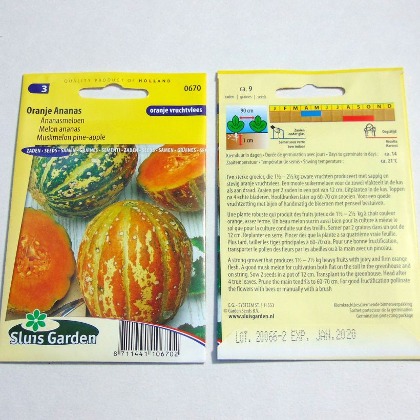 Esempio di esemplare Melone Orange Ananas sacchetto di semi 9 come consegnato