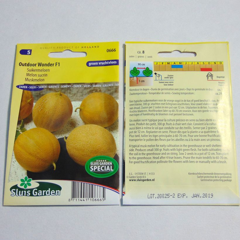 Esempio di esemplare Melone Outdoor Wonder F1 sacchetto di semi 8 come consegnato