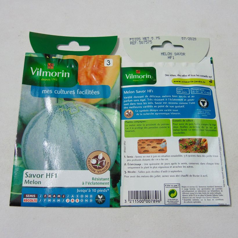 Esempio di esemplare Melone Savor sacchetto di semi 21 (0.7g) come consegnato