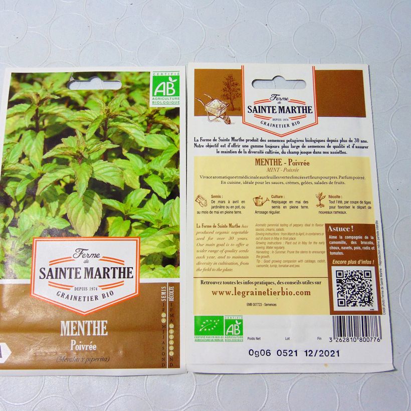 Esempio di esemplare Mentha piperita Bio - Ferme de Sainte Marthe - Menta piperita sacchetto di semi 1500 (0,1g) come consegnato
