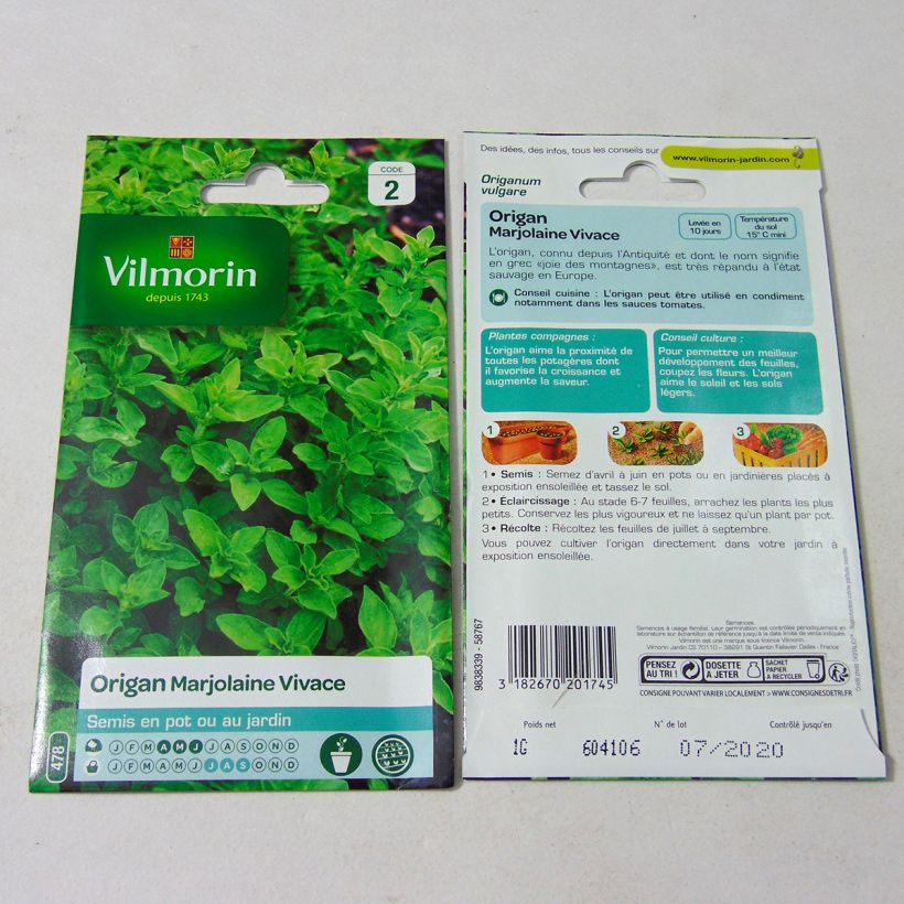 Esempio di esemplare Origano comune - Vilmorin sacchetto di semi 12000 (1g) come consegnato