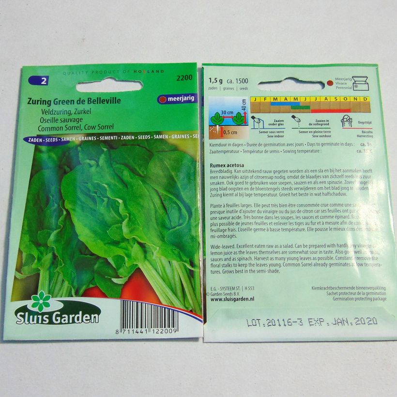 Esempio di esemplare Acetosa selvatica - semi sacchetto di semi 1500 (1g) come consegnato