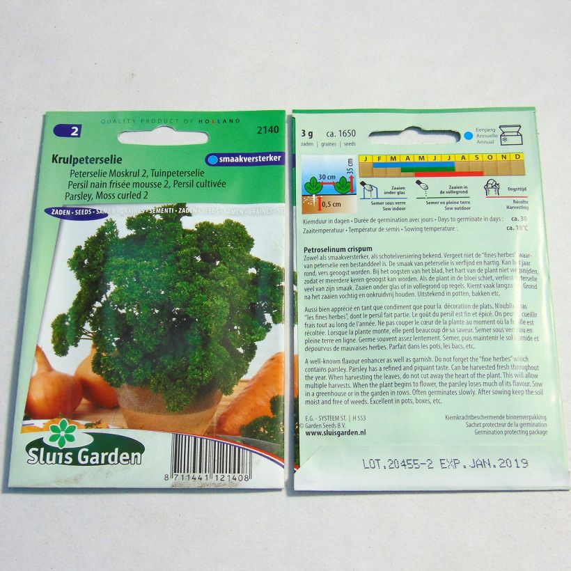 Esempio di esemplare Prezzemolo riccio Mousse 2 sacchetto di semi 1650 (3g) come consegnato