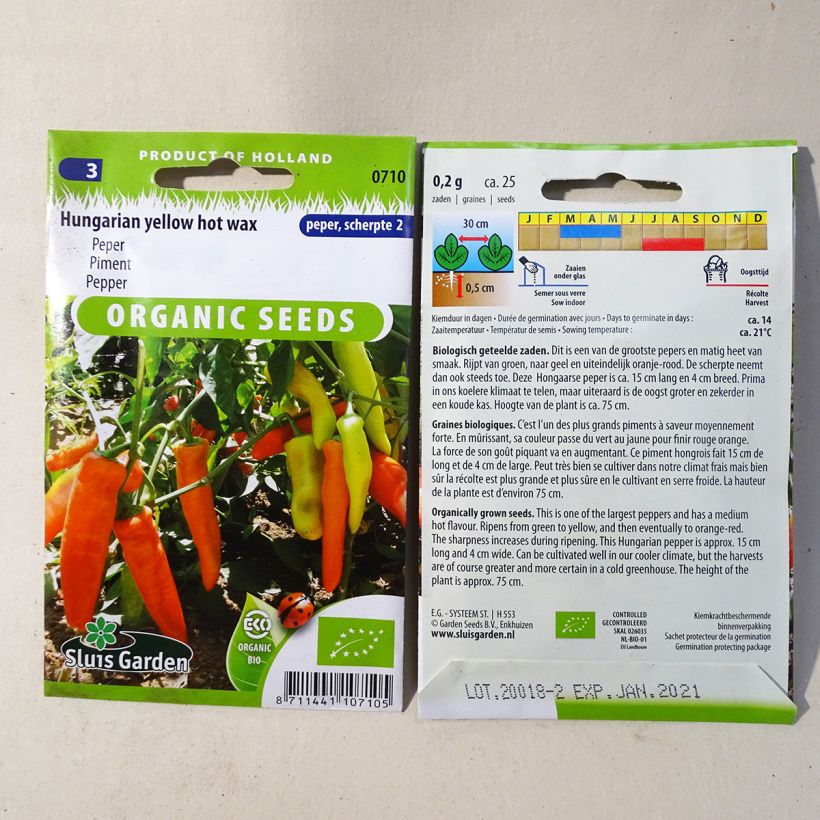 Esempio di esemplare Peperoncino piccante Hungarian Yellow Wax Hot Bio sacchetto di semi 25 (0.2g) come consegnato