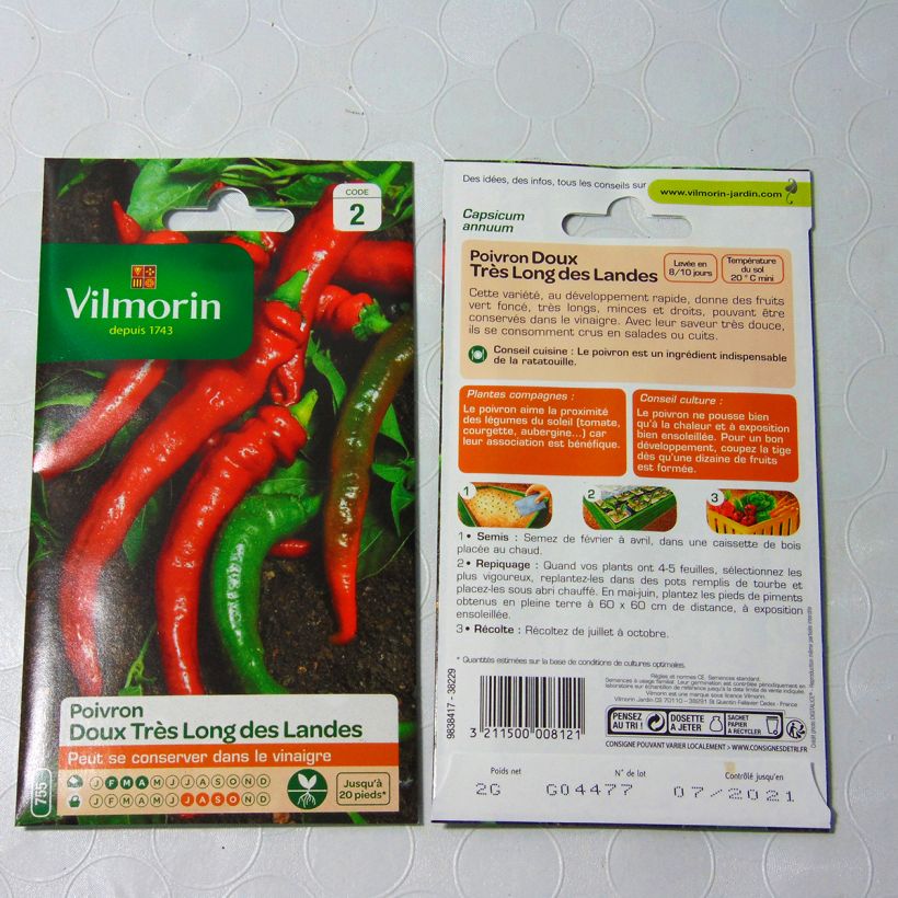 Esempio di esemplare Peperoncino Lungo delle Lande - Vilmorin sacchetto di semi 240 (2g) come consegnato