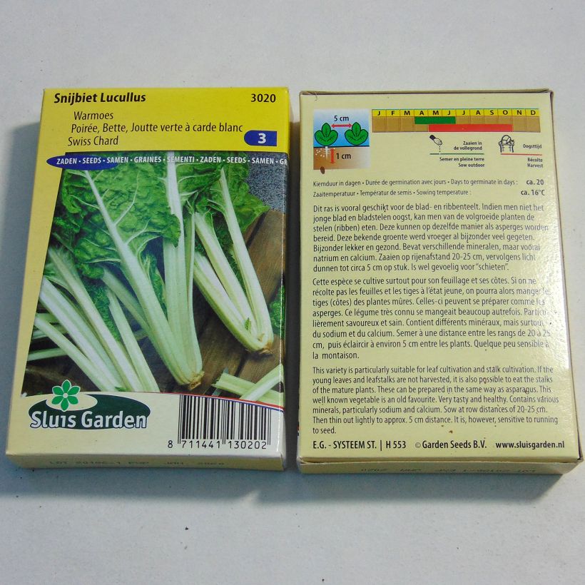 Esempio di esemplare Bietola Lucullus sacchetto di semi 1000 (25g) come consegnato