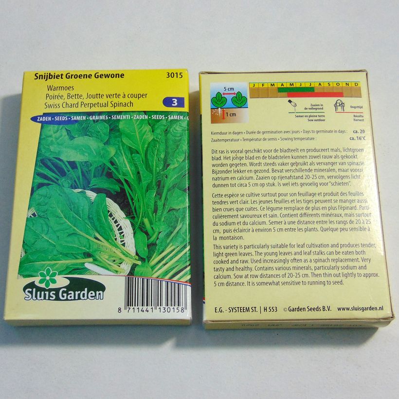 Esempio di esemplare Bietola Groene Gewone 2 sacchetto di semi 1000 (25g) come consegnato