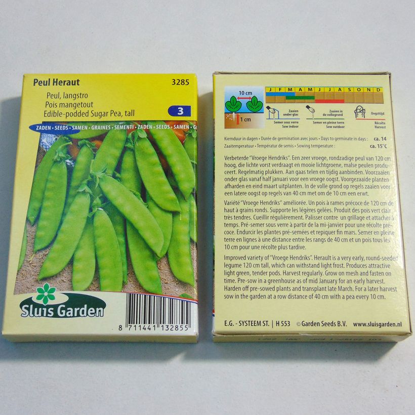 Esempio di esemplare Pisello mangiatutto Héraut sacchetto di semi 250-300 (100g) come consegnato