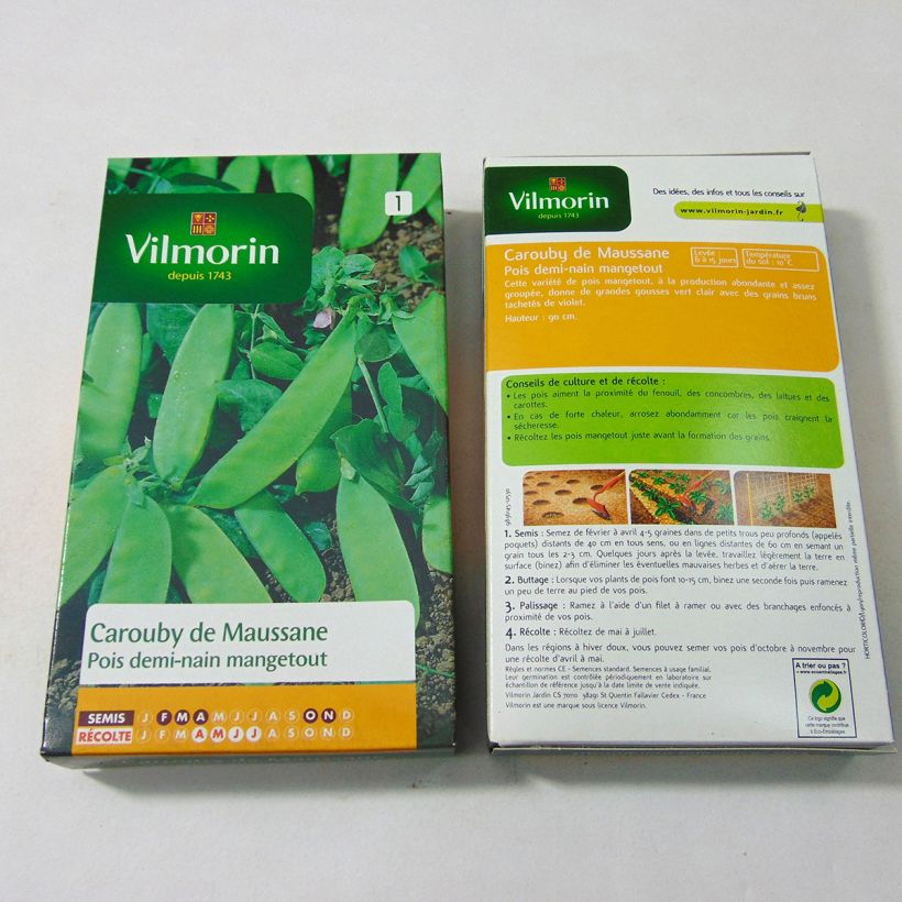 Esempio di esemplare Taccola Carouby de Maussane - Vilmorin sacchetto di semi 540 (180g) come consegnato