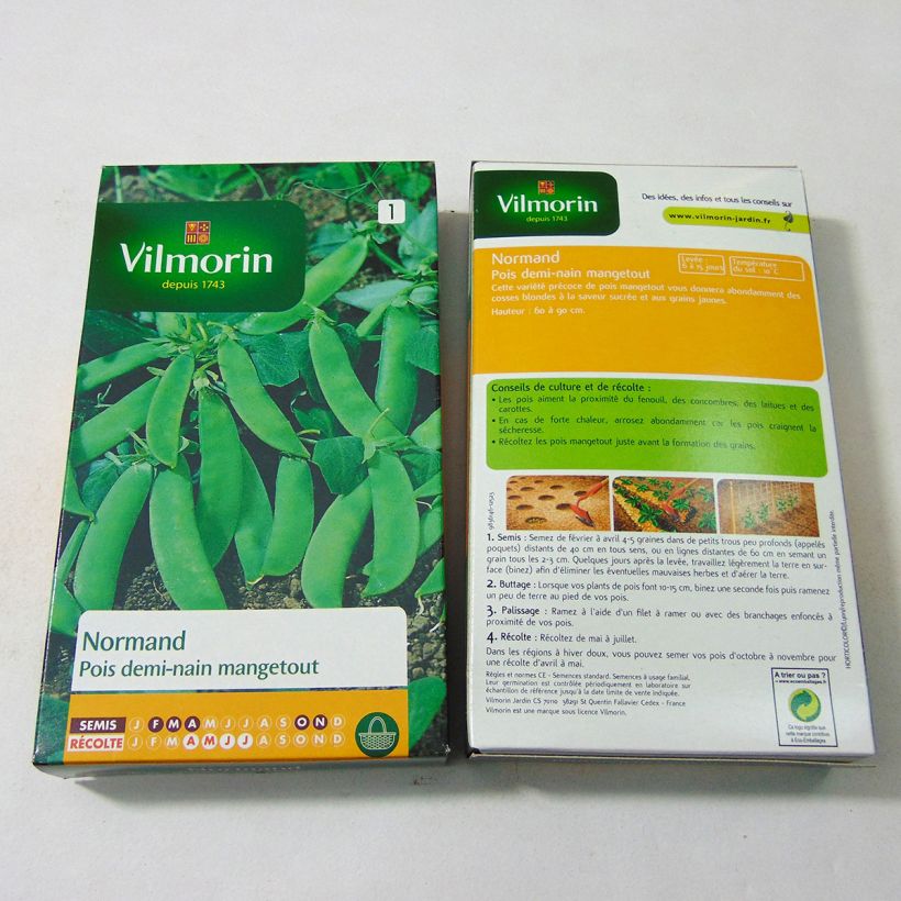 Esempio di esemplare Taccola Normand - Vilmorin sacchetto di semi 540 (180g) come consegnato