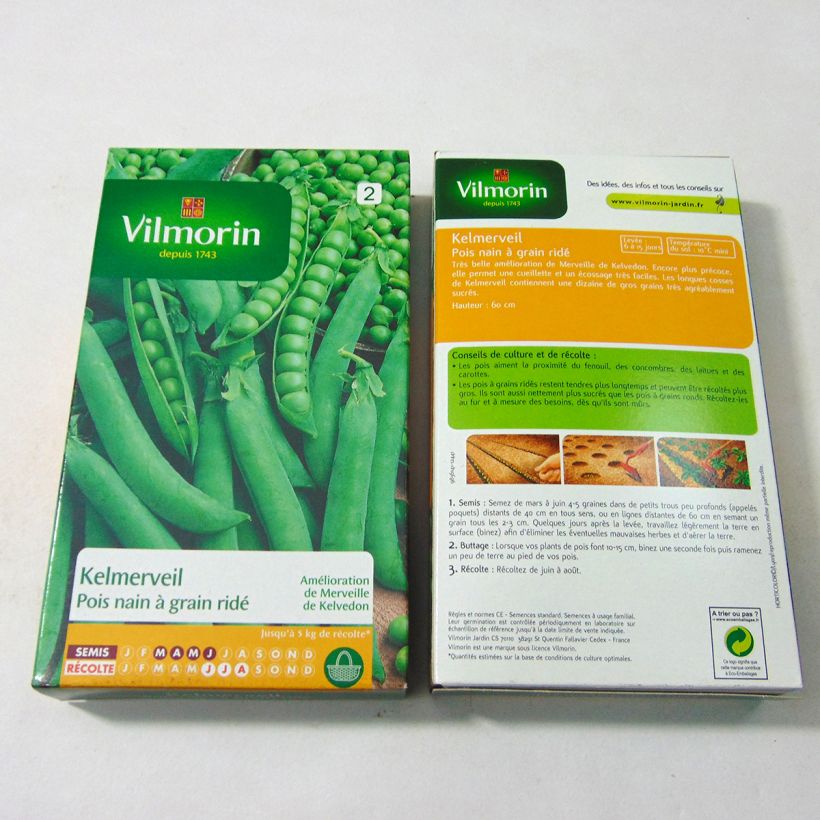 Esempio di esemplare Pisello nano Kelmerveil sacchetto di semi 600 (200g) come consegnato