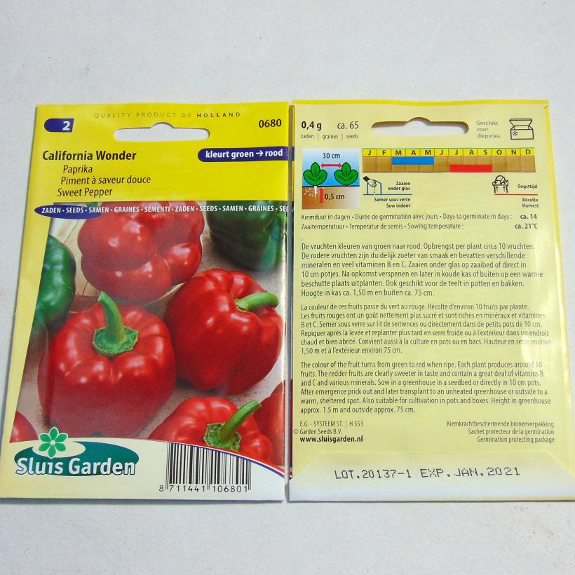 Esempio di esemplare Peperone California Wonder sacchetto di semi 60 (0,5g) come consegnato