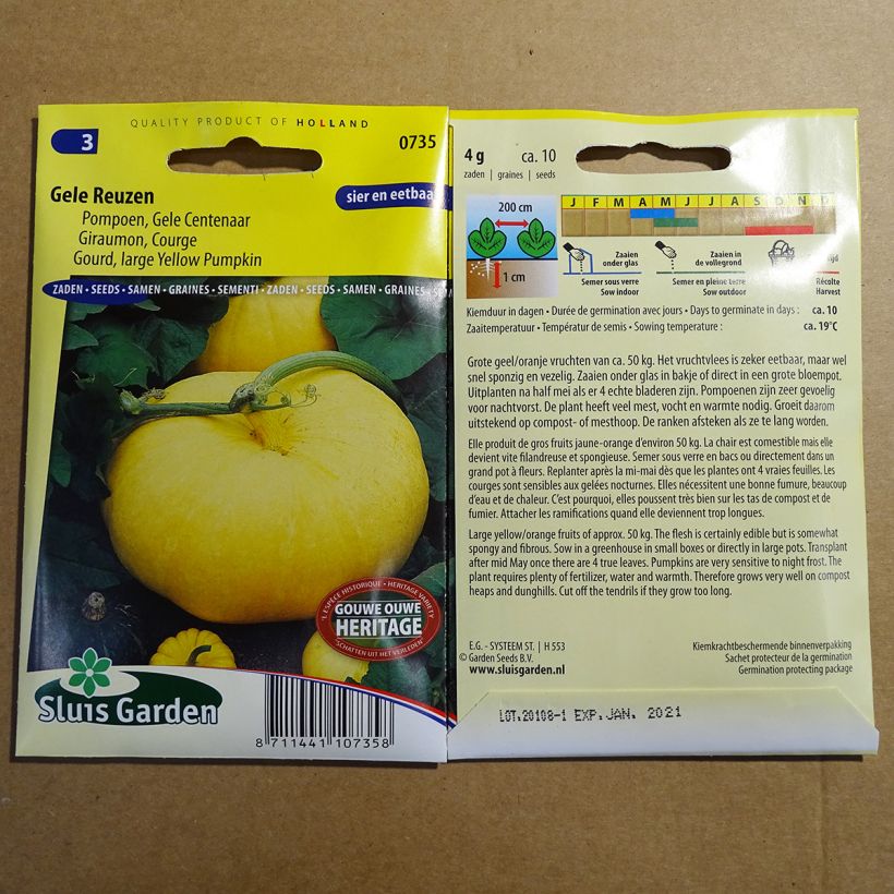 Esempio di esemplare Zucca Gele Reuzen sacchetto di semi 10 (4g) come consegnato