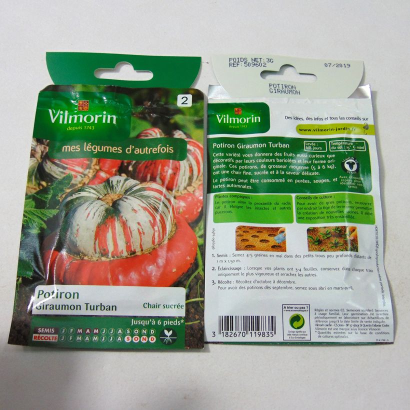 Esempio di esemplare Zucca Giraumon Turban - Vilmorin sacchetto di semi 18 (3g) come consegnato