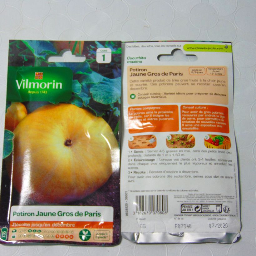 Esempio di esemplare Zucca Gialla Gros de Paris - Vilmorin sacchetto di semi 36 (6g) come consegnato
