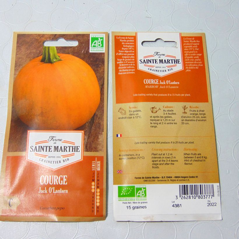 Esempio di esemplare Zucca decorativa 'Jack O'Lantern' Bio - Ferme de Sainte Marthe sacchetto di semi 8 (1g) come consegnato