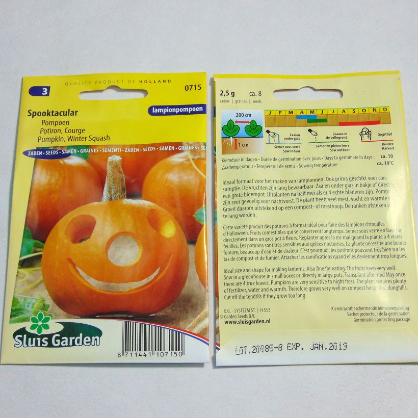 Esempio di esemplare Zucchino Spooktacular sacchetto di semi 8 (2g) come consegnato