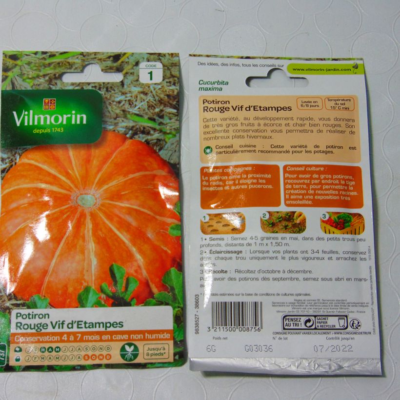 Esempio di esemplare Zucca Rosso vivo di Etampes - Vilmorin sacchetto di semi 36 (6g) come consegnato