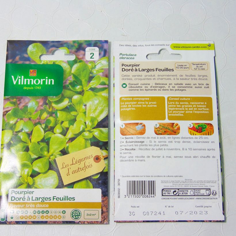 Esempio di esemplare Portulaca oleracea dorata - Porcellana sacchetto di semi 7500 (3g) come consegnato