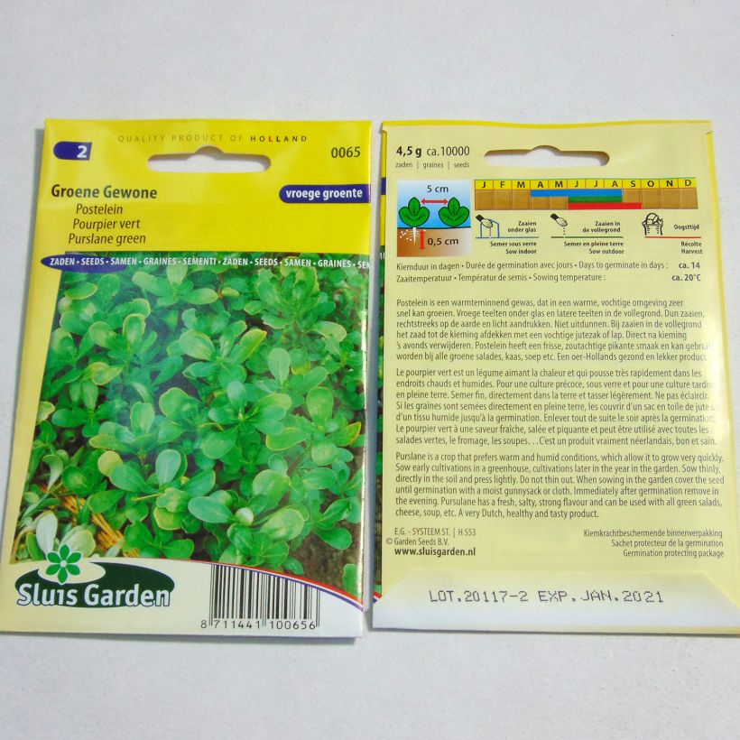 Esempio di esemplare Portulaca oleracea Verde - Porcellana sacchetto di semi 10000 (4g) come consegnato