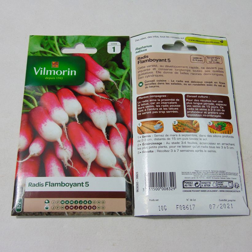 Esempio di esemplare Ravanello Flamboyant 5 sacchetto di semi 800 (10g) come consegnato