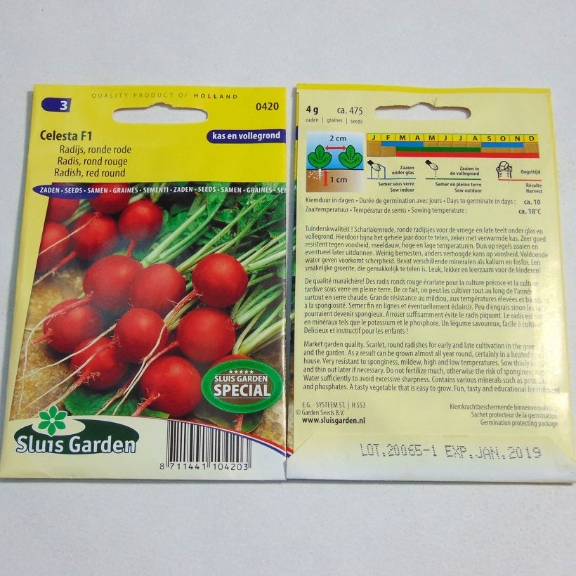Esempio di esemplare Ravanello Rotondo rosso Celesta F1 sacchetto di semi 475 (4g) come consegnato