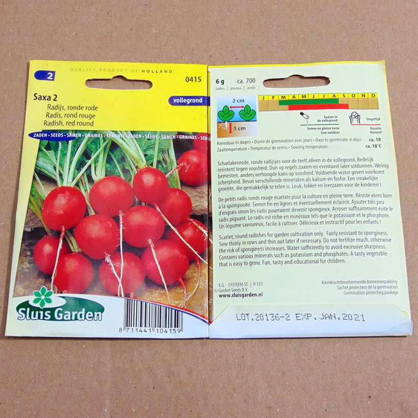 Esempio di esemplare Ravanello Rotondo rosso Saxa 2 sacchetto di semi 700 (6g) come consegnato