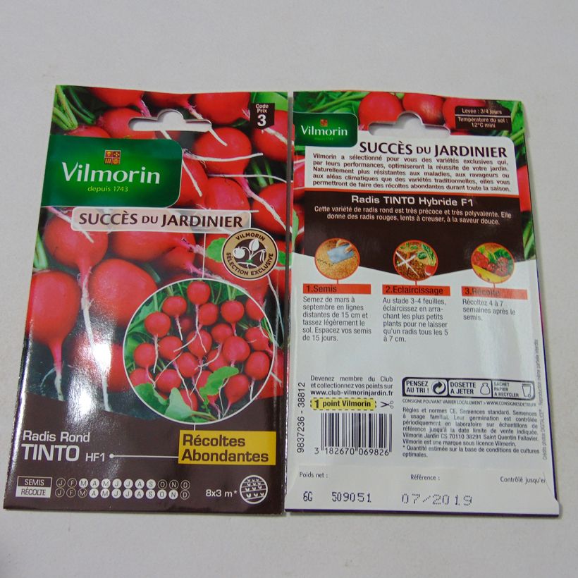 Esempio di esemplare Ravanello Tinto F1 sacchetto di semi 480 (6g) come consegnato