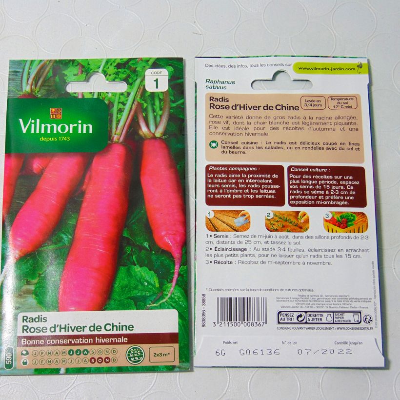 Esempio di esemplare Ravanello Rosa Cinese d'Inverno - Vilmorin sacchetto di semi 480 (6g) come consegnato