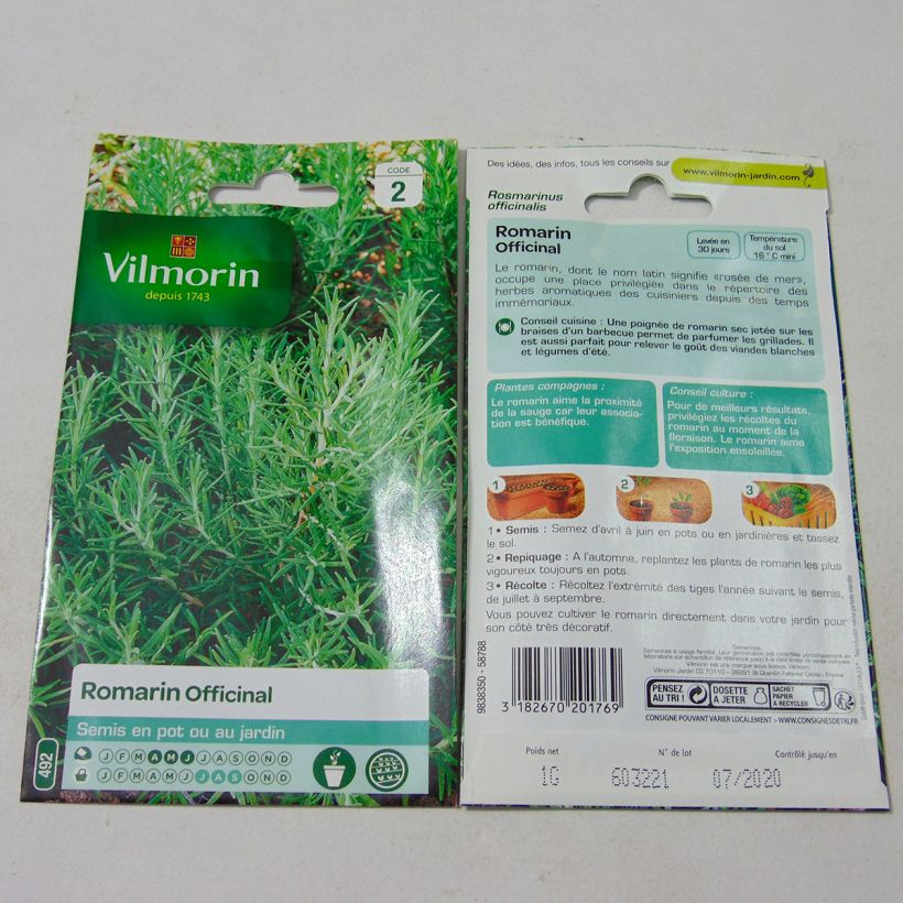 Esempio di esemplare Rosmarinus officinalis - Vilmorin - Rosmarino sacchetto di semi da 1 grammi come consegnato